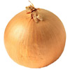 the onion | l' [m.] oignon